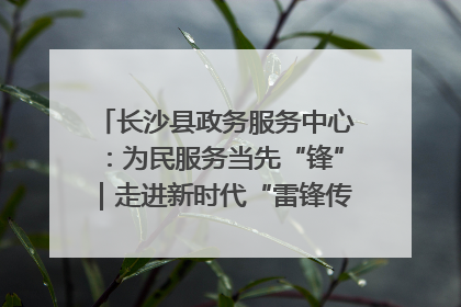 长沙县政务服务中心：为民服务当先“锋”｜走进新时代“雷锋传人 长沙榜样”